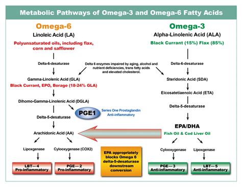 essential fatty acids and skin.